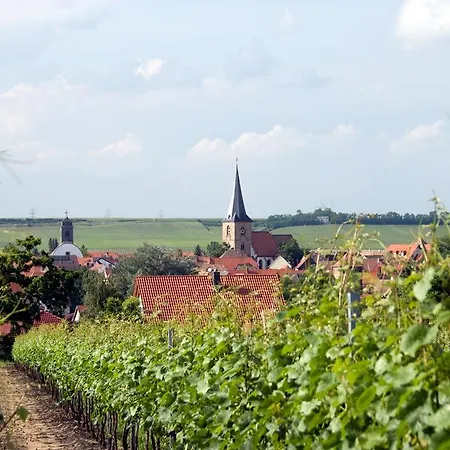 Baerengasse * Freinsheim