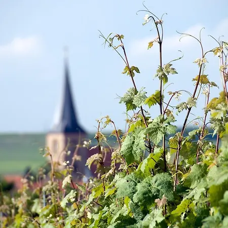 Baerengasse * Freinsheim