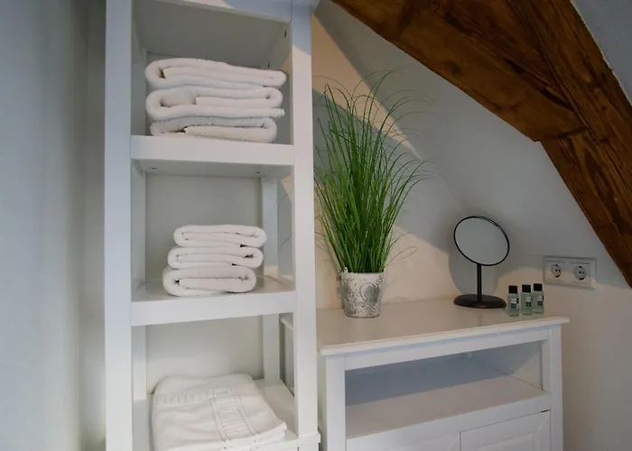 Baerengasse Lejlighed *