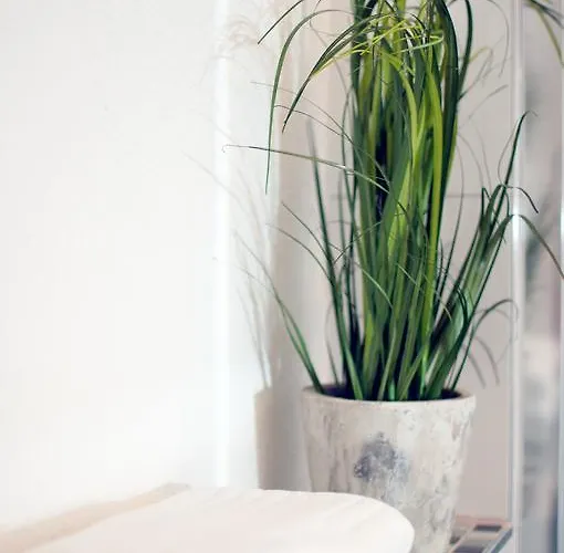 Baerengasse * Freinsheim